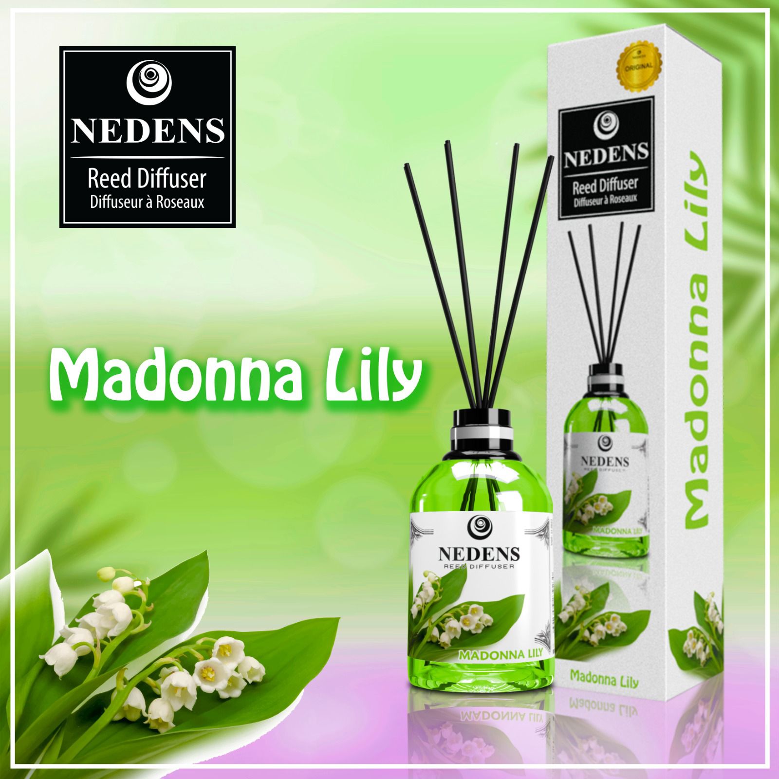 madonna lily